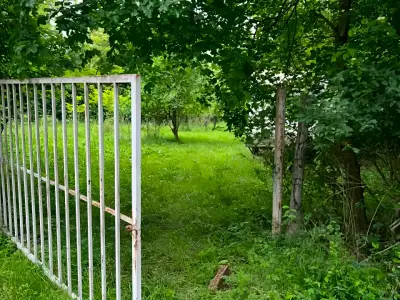 Teren vanzare cumparare Cornu de Jos Prahova drum si poarta